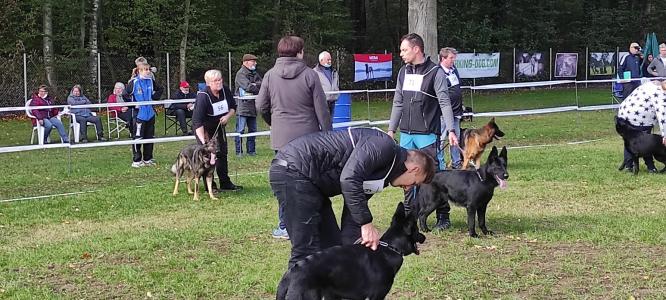 Ulli mit "Falk vom Hirtental "