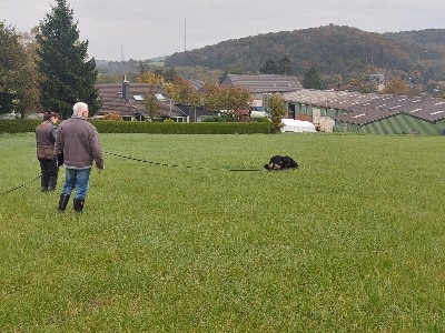 In  der Fährte